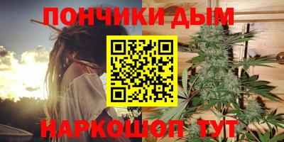 мдпв Можга
